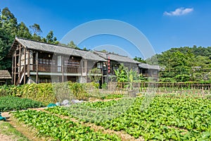 Ancient Chinese traditional Hakka house with vegetable garden