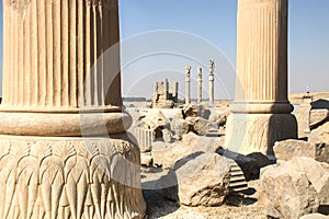 The ancient city Persepolis near Shiraz, Iran