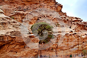 Ancient city of Petra in Jordan