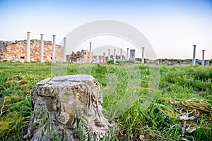 Ancient city of Salamis located in Cyprus.