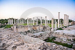 Ancient city of Salamis located in Cyprus.