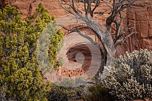 Ancient Cliff Dwellings in Arizona