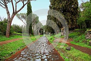 Ancient cobblestone path of Rome`s Appian Way photo