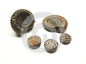 Ancient Coin and fossil