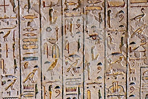 Ancient color egypt images and hieroglyphics