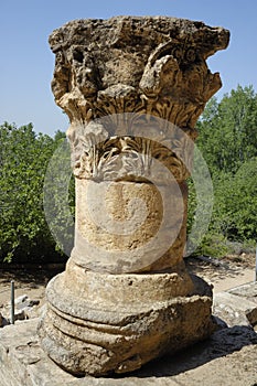 Ancient column