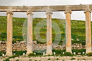 Ancient column at gerash photo
