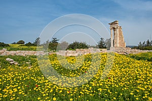 Ancient columns of Apollon Hylates,  sanctuary in Limassol district, Cyprus