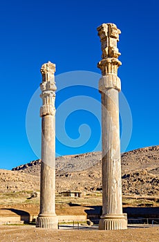 Ancient columns in the Gate of All Nations - Persepolis