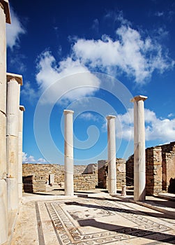 Ancient columns and mosaic in Delos, Greece.