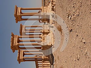 Ancient columns, Palmyra