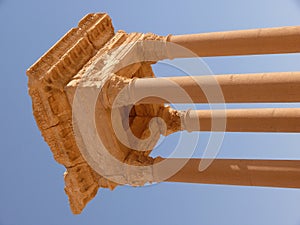 Ancient columns, Palmyra Syria