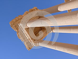Ancient columns, Palmyra Syria