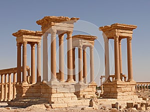 Ancient columns, Palmyra Syria