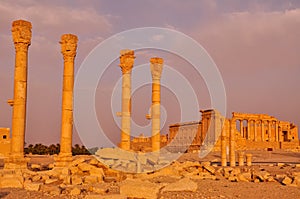 Ancient columns of Palmyra, Syria