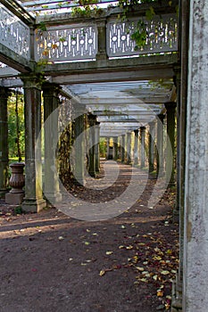 Ancient columns in the Park