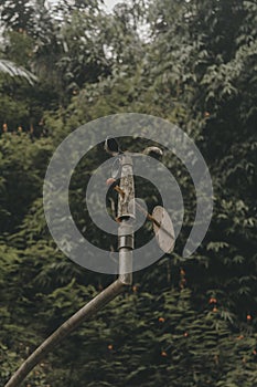 ancient compass directions