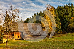 An ancient cottage at forest near Vychylovka village