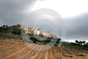 Ancient country stronghold farm _ Vineyards. Fields & Trees photo