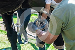 Ancient craft job horse shoeing man securing shod