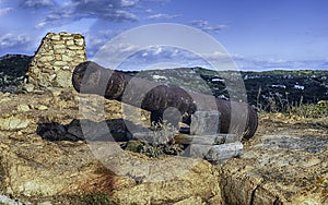 Ancient disused cannon, Santa Teresa Gallura, Sardinia, Italy photo