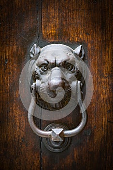 Ancient door knocker in the shape of a panther head
