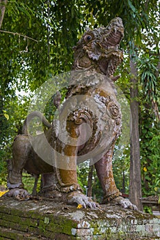 Ancient dragon sculpture on the ruins of Buddhist temple. Chiang Saen