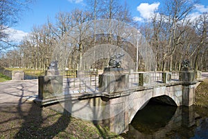 Ancient Dragons bridge in the Tsarskoe Selo on a sunny May day. Saint-Petersburg, Russia