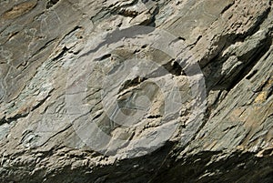Ancient drawings carved on the rocks