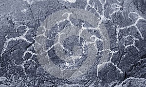 The ancient drawings on rocks Altai