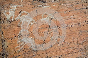 The ancient drawings on rocks Altai