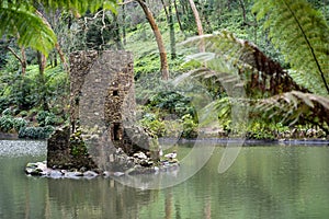 Ancient duck houses resembling a tower or castle at Pena Palace gardens in the Valley of Lakes area. Framed by ferns