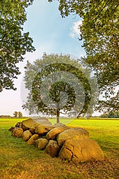 Ancient Dutch megalithic tomb dolmen hunebed