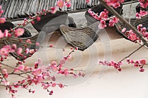 Ancient Eaves Tile and Peach Blossom photo