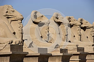 Ancient Egypt, Avenue of Sphinxes, Travel