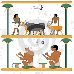 Ancient egypt background. Man lead cows and goat. Scribes at work. Egypt scribes write at papyrus. Historical background