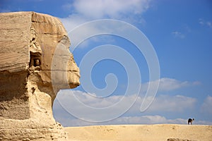 Ancient Egypt Cairo Giza Sphinx, Camel, Travel