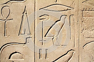 Ancient egypt images and hieroglyphics