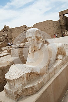 Ancient egypt statueof sphinx in Luxor karnak temple