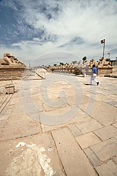 Ancient egypt statues of sphinx in Luxor karnak temple