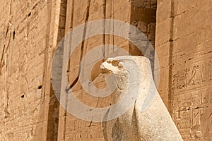 Ancient egyptian architecture ruins. hieroglyphs and columns of the Temple of Horus at Edfu, in Egypt