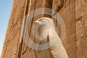 Ancient egyptian architecture ruins. hieroglyphs and columns of the Temple of Horus at Edfu, in Egypt