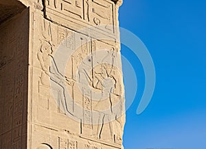 Ancient Egyptian Art - Engraved on Wall - Aswan