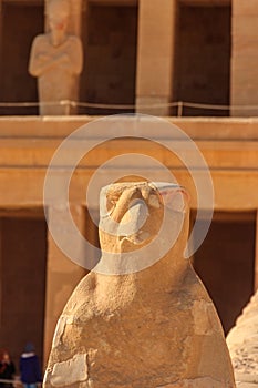 Ancient egyptian falcon sculpture of god Horus at Mortuary Temple of Hatshepsut in Luxor, Egypt