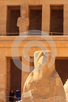 Ancient egyptian falcon sculpture of god Horus at Mortuary Temple of Hatshepsut in Luxor, Egypt