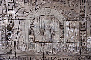 Ancient Egyptian Heiroglyphics, Egypt Travel photo