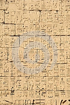 Ancient Egyptian hieroglyphic bas-relief