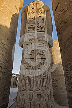 Ancient egyptian hieroglyphic carvings on columns in temple
