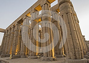 Ancient egyptian hieroglyphic carvings on columns in temple