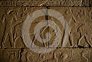 Ancient Egyptian Hieroglyphics Wall